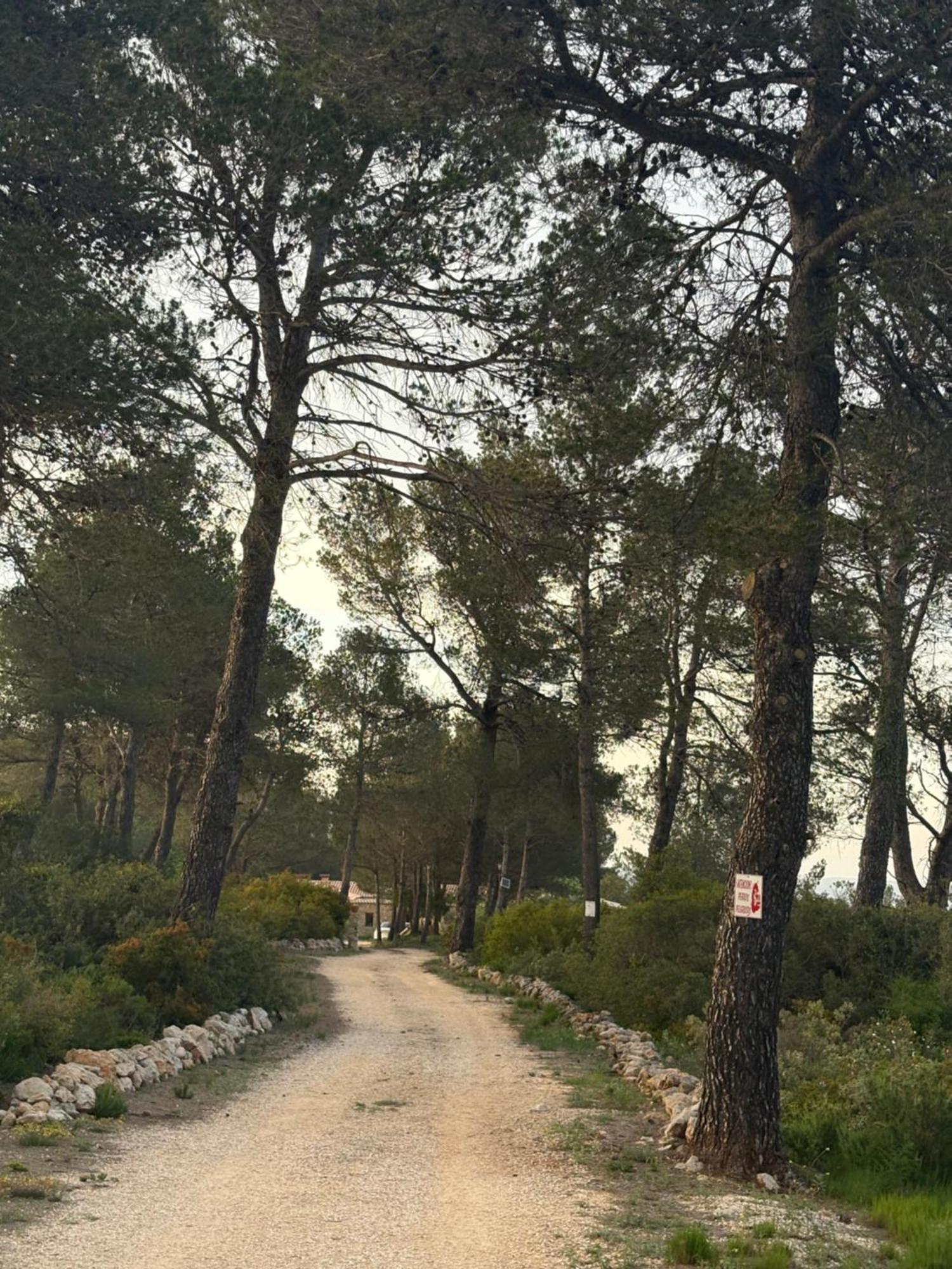 Casa Rural En Un Paraje Natural Enguera Eksteriør billede